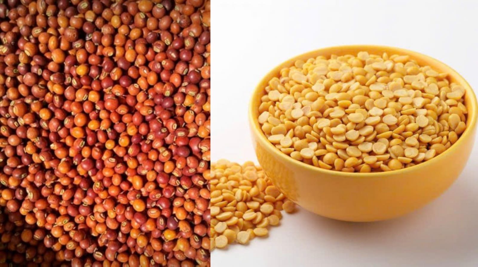 Arhar and Arhar dal - Pulses / Dals Supplier India