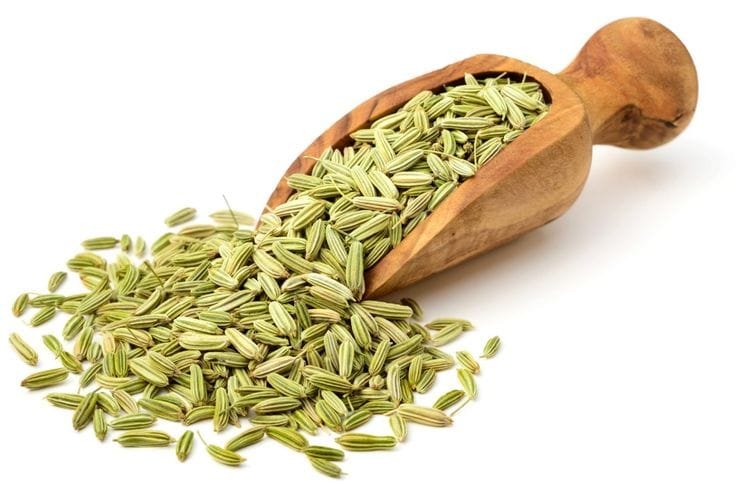 Fennel Seed - Spices & Masala Crops Supplier India