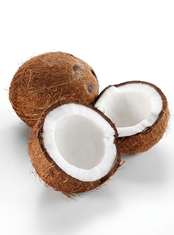 Coconut / Copra - Commercial / Cash Crops Supplier India