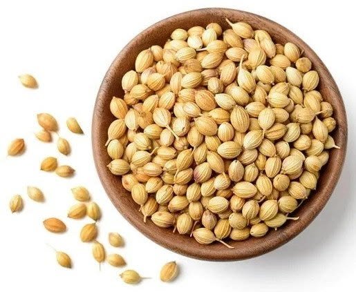 Coriander - Spices & Masala Crops Supplier India