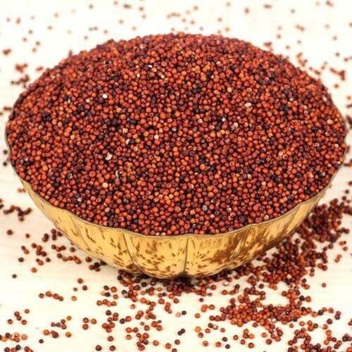 Finger Millet / Ragi - Cereals / Grains Supplier India
