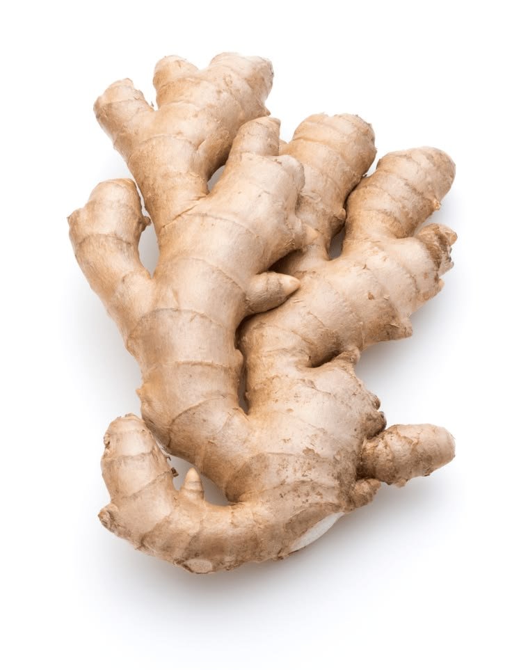 Ginger / Adrak - Vegetables Supplier India