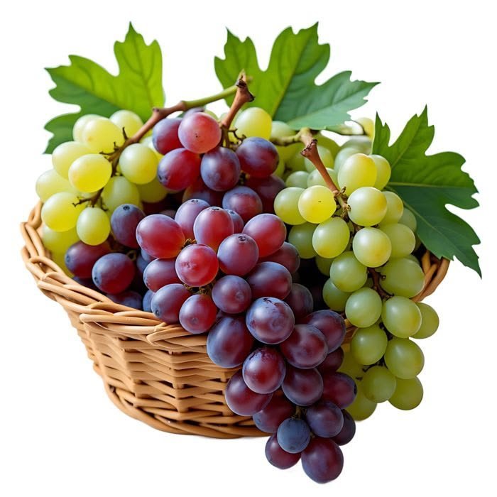 Grapes / Angoor - Fruits Supplier India