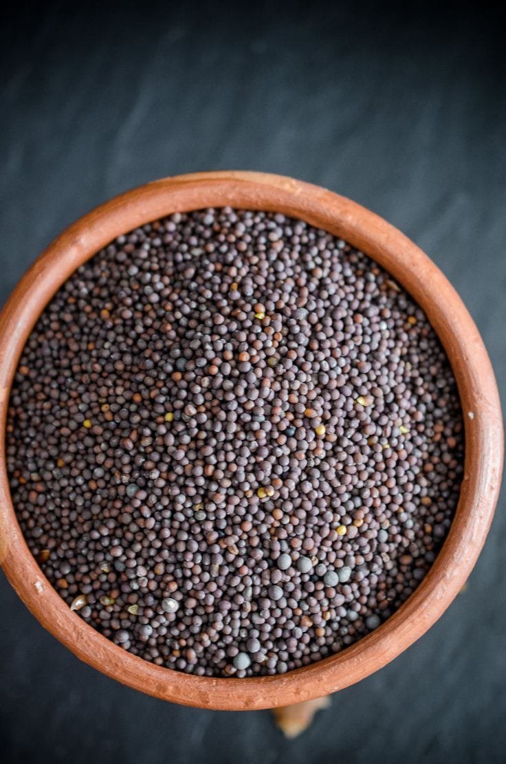 Mustard Seed / Rai - Spices & Masala Crops Supplier India