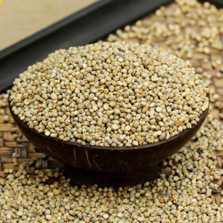 Pearl Millet / Bajra - Cereals / Grains Supplier India