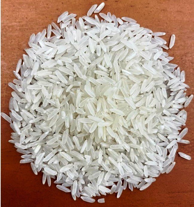 Rice - Cereals / Grains Supplier India