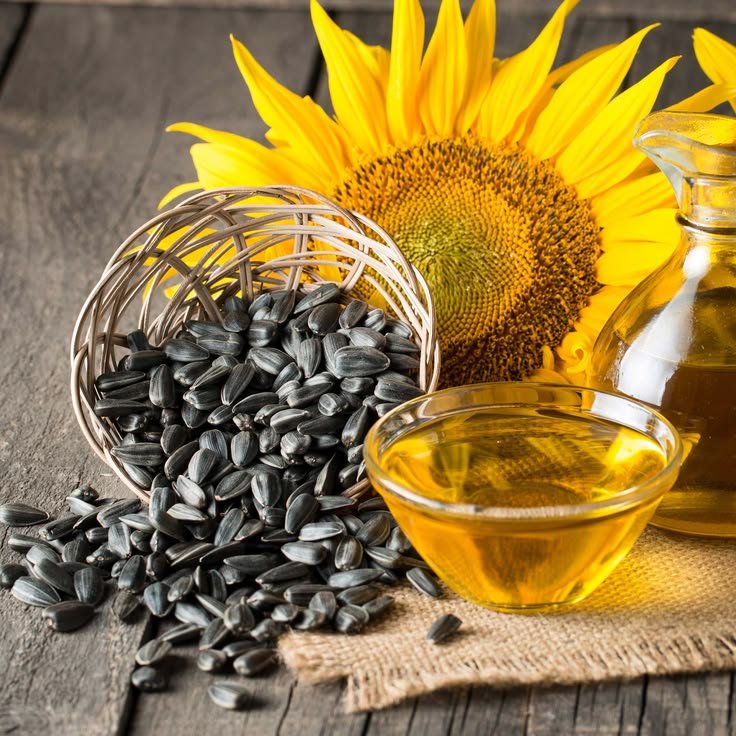 Sunflower Seeds - Oilseeds Supplier India