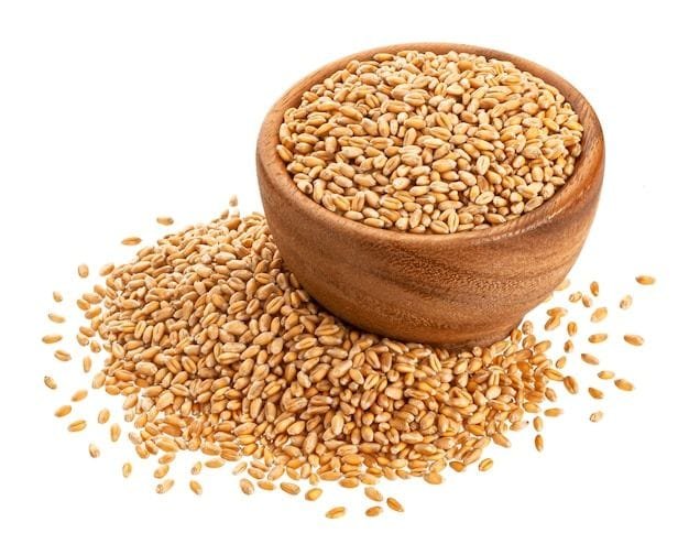 Wheat - Cereals / Grains Supplier India